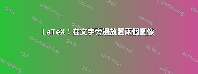 LaTeX：在文字旁邊放置兩個圖像