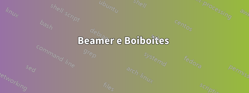 Beamer e Boiboites