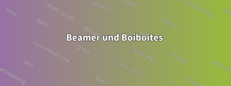 Beamer und Boiboites