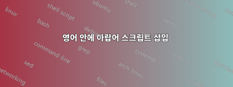 영어 안에 아랍어 스크립트 삽입