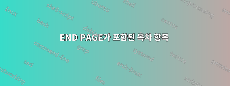 END PAGE가 포함된 목차 항목