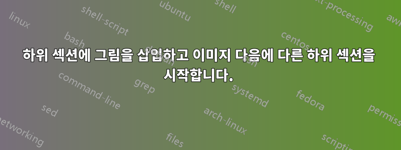 하위 섹션에 그림을 삽입하고 이미지 다음에 다른 하위 섹션을 시작합니다.