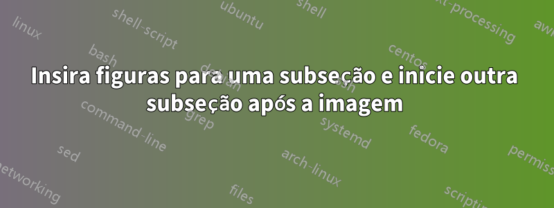 Insira figuras para uma subseção e inicie outra subseção após a imagem