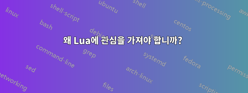 왜 Lua에 관심을 가져야 합니까?