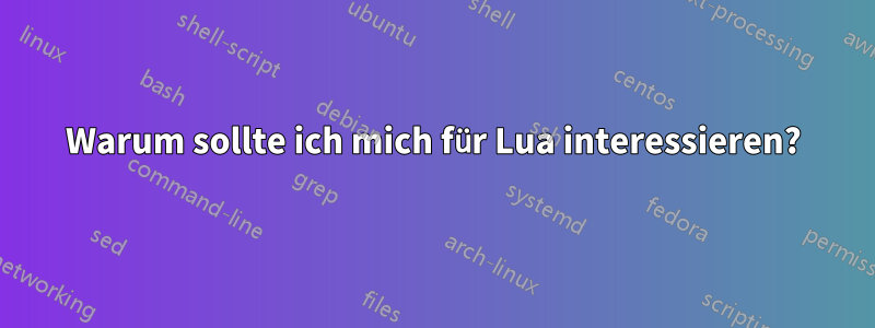 Warum sollte ich mich für Lua interessieren?