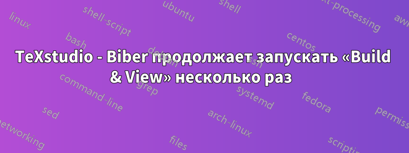 TeXstudio - Biber продолжает запускать «Build & View» несколько раз 