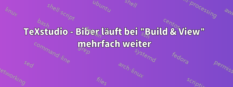 TeXstudio - Biber läuft bei "Build & View" mehrfach weiter 