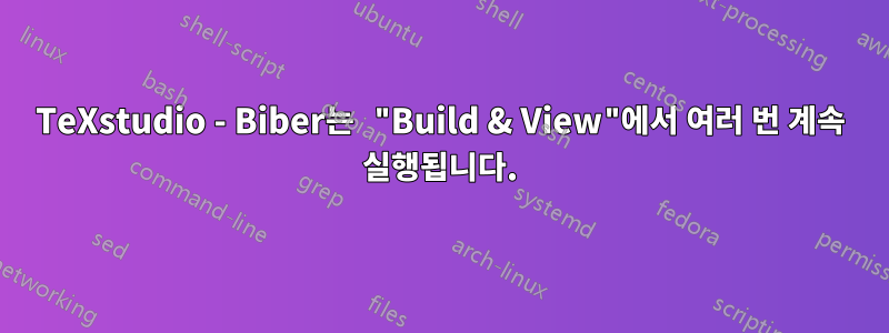 TeXstudio - Biber는 "Build & View"에서 여러 번 계속 실행됩니다.
