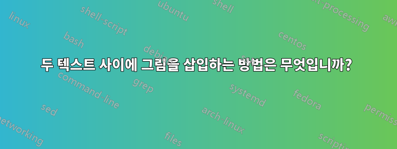 두 텍스트 사이에 그림을 삽입하는 방법은 무엇입니까?