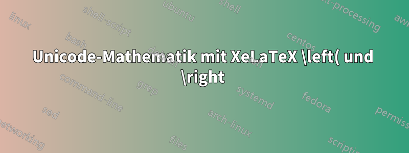 Unicode-Mathematik mit XeLaTeX \left( und \right) wird nicht korrekt wiedergegeben