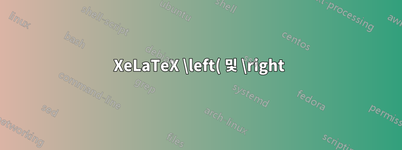 XeLaTeX \left( 및 \right)가 있는 유니코드 수학이 올바르게 렌더링되지 않았습니다.