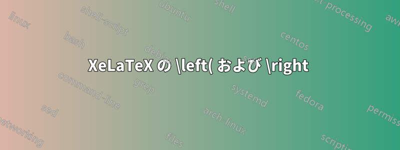 XeLaTeX の \left( および \right) を使用した unicode-math が正しくレンダリングされない