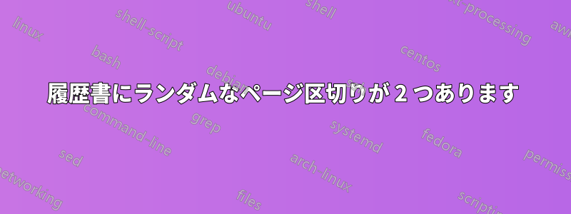 履歴書にランダムなページ区切りが 2 つあります