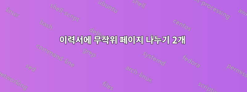 이력서에 무작위 페이지 나누기 2개
