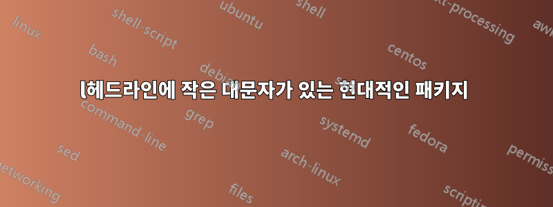 l헤드라인에 작은 대문자가 있는 현대적인 패키지