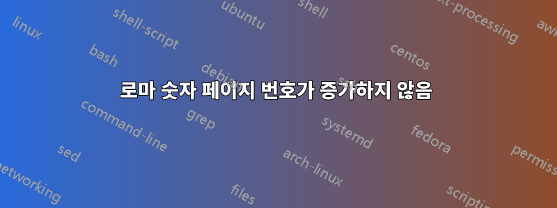 로마 숫자 페이지 번호가 증가하지 않음