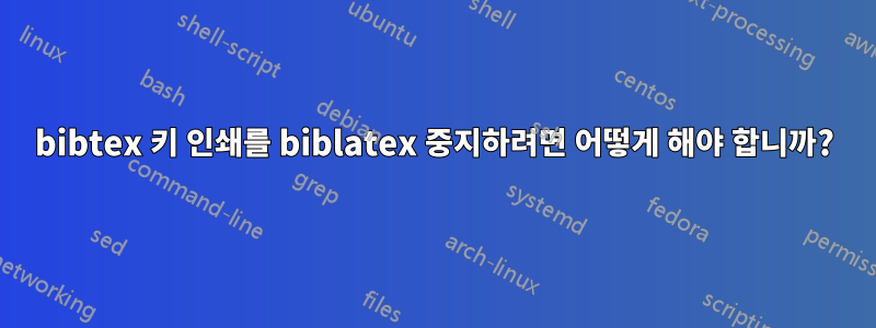 bibtex 키 인쇄를 biblatex 중지하려면 어떻게 해야 합니까?