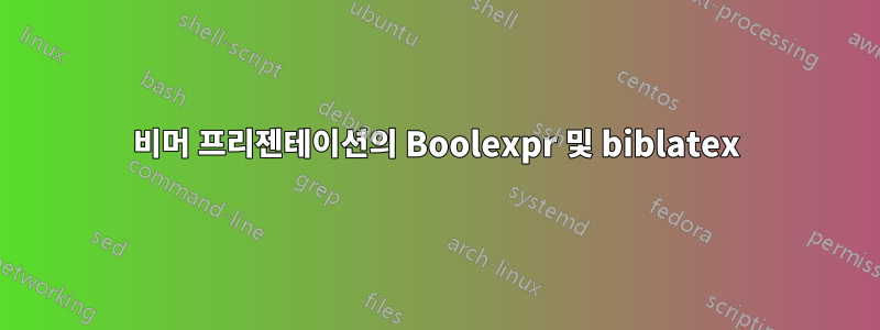 비머 프리젠테이션의 Boolexpr 및 biblatex