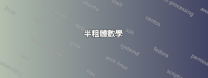 半粗體數學