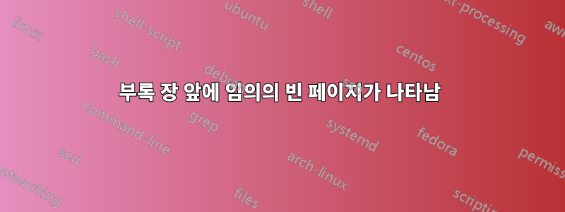 부록 장 앞에 임의의 빈 페이지가 나타남