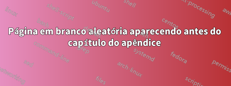 Página em branco aleatória aparecendo antes do capítulo do apêndice