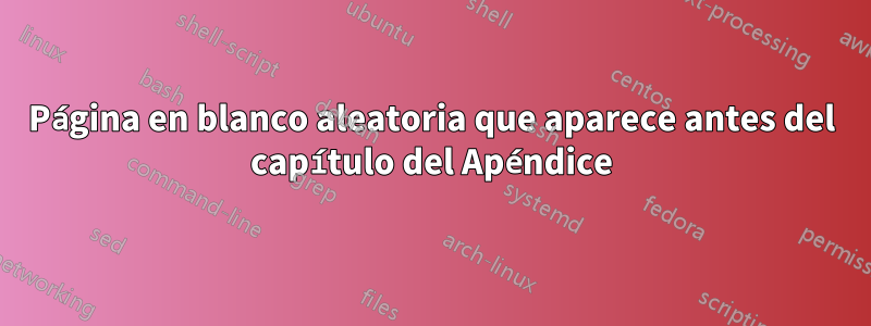 Página en blanco aleatoria que aparece antes del capítulo del Apéndice