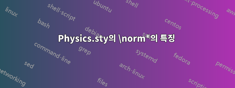 Physics.sty의 \norm*의 특징