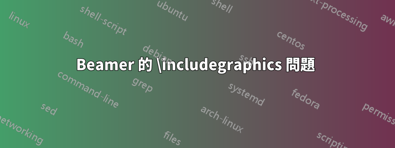 Beamer 的 \includegraphics 問題
