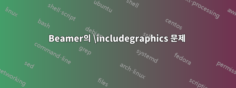 Beamer의 \includegraphics 문제