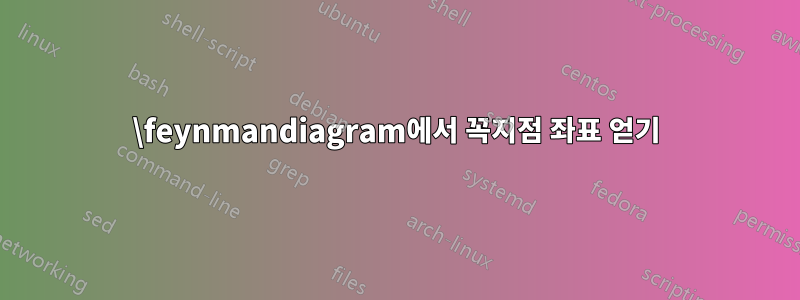 \feynmandiagram에서 꼭지점 좌표 얻기