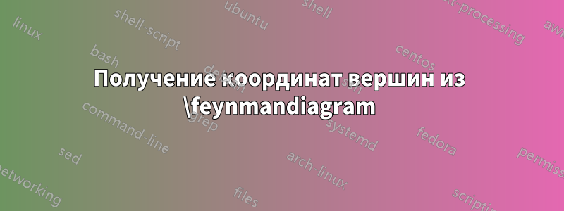 Получение координат вершин из \feynmandiagram