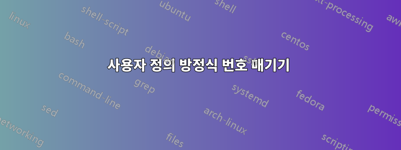 사용자 정의 방정식 번호 매기기