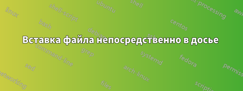 Вставка файла непосредственно в досье