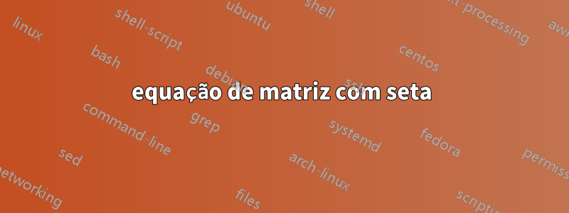 equação de matriz com seta