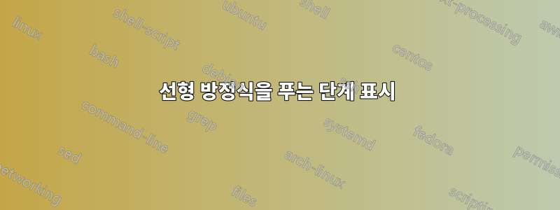 선형 방정식을 푸는 단계 표시