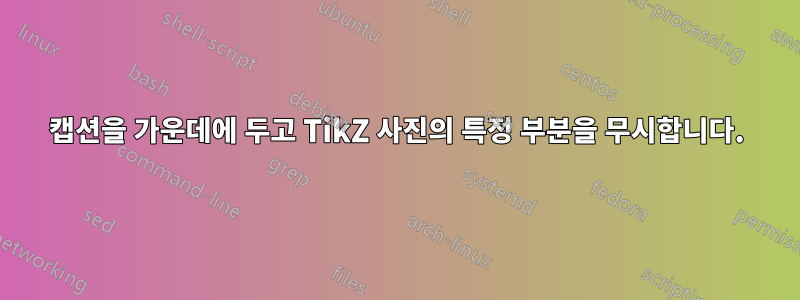 캡션을 가운데에 두고 TikZ 사진의 특정 부분을 무시합니다.