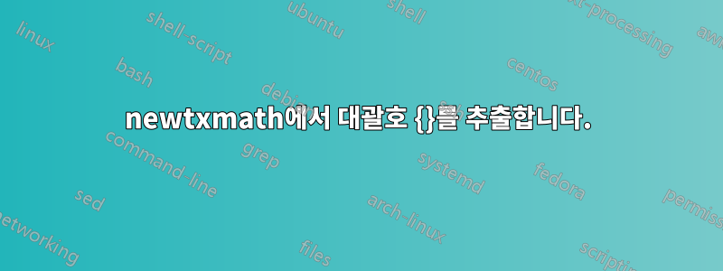 newtxmath에서 대괄호 {}를 추출합니다.