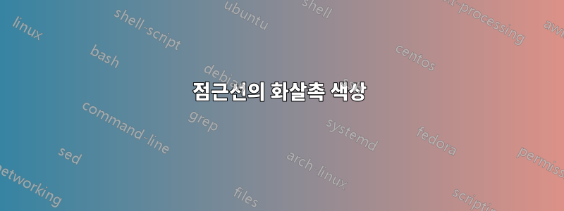 점근선의 화살촉 색상