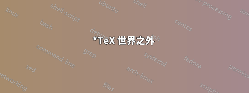 *TeX 世界之外