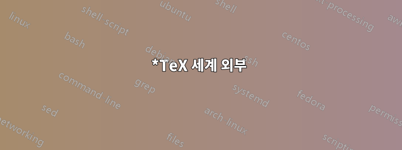 *TeX 세계 외부