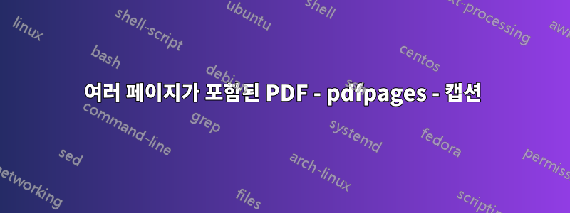 여러 페이지가 포함된 PDF - pdfpages - 캡션