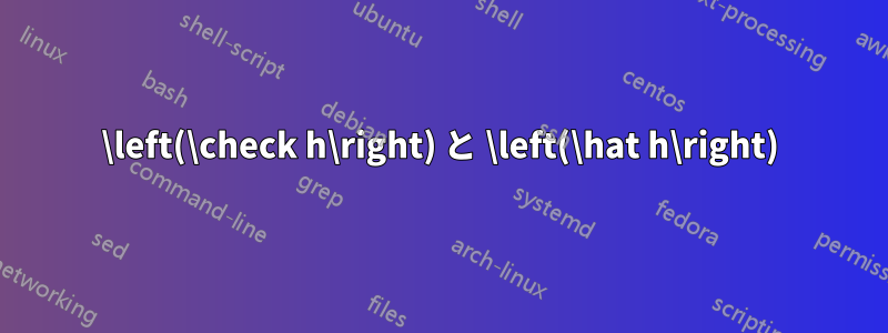 \left(\check h\right) と \left(\hat h\right)