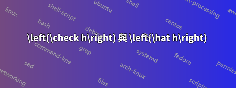 \left(\check h\right) 與 \left(\hat h\right)