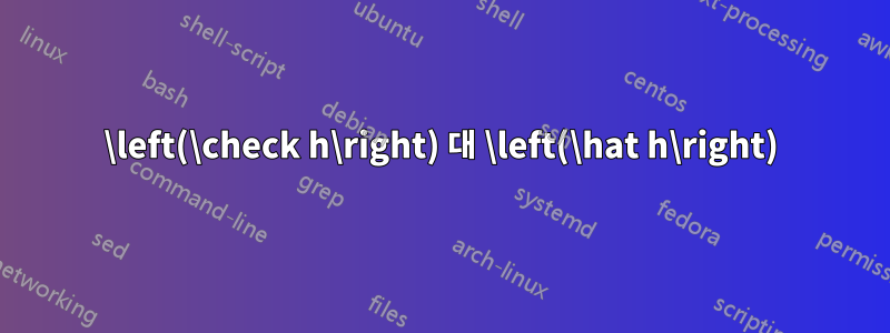 \left(\check h\right) 대 \left(\hat h\right)