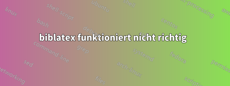 biblatex funktioniert nicht richtig 