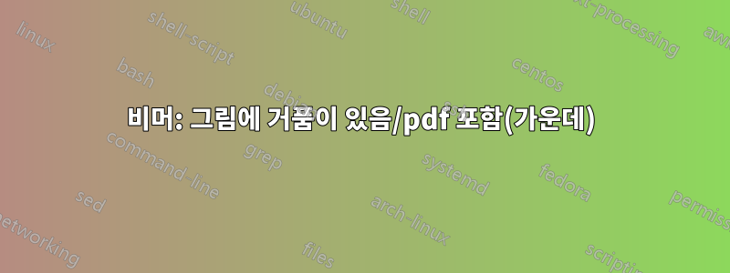 비머: 그림에 거품이 있음/pdf 포함(가운데)