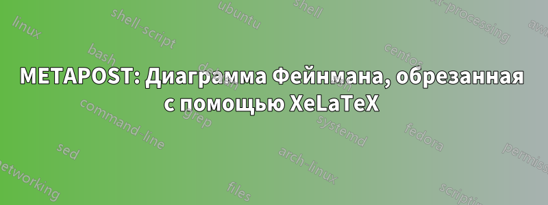 METAPOST: Диаграмма Фейнмана, обрезанная с помощью XeLaTeX