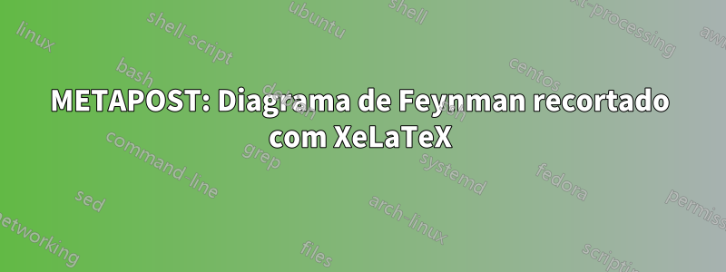 METAPOST: Diagrama de Feynman recortado com XeLaTeX