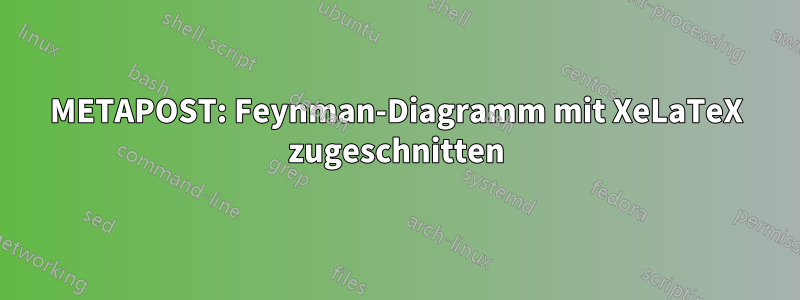 METAPOST: Feynman-Diagramm mit XeLaTeX zugeschnitten