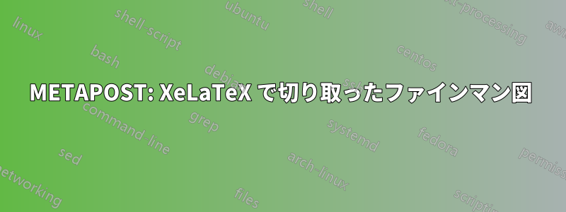 METAPOST: XeLaTeX で切り取ったファインマン図